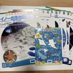 Item thumbnail for item 5943cb8a-3b69-4420-bf1d-e970a6c97fb0