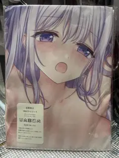 【未開封未使用】2Wayトリコット抱き枕カバー
