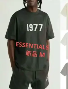 ESSENTIALS エッセンシャル1977 Tシャツ M 新品未使用のサムネイル