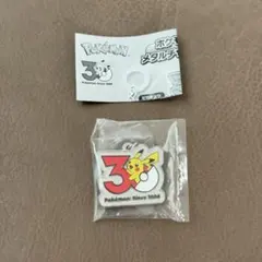 ピカチュウ 30周年 メタルチャームマスコット 新品 ポケモン