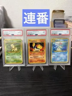 PSA10 PSA9 ポケモンカード プレミアムファイル 3枚セット - メルカリ