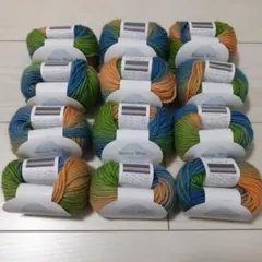 Aurora Wool 毛糸 12玉　No.４