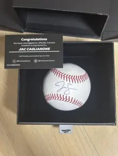 2026年最新】カグリオンの人気アイテム - メルカリ