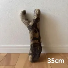 ◾️流木 自然な枝状 約35cm 天然　加工なし