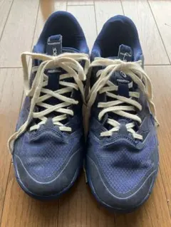 アシックス バスケットシューズ 25