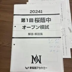 2025年最新】桜蔭の人気アイテム - メルカリ