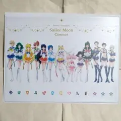 【送料込】劇場版「美少女戦士セーラームーンCosmos」　パンフレットホルダー