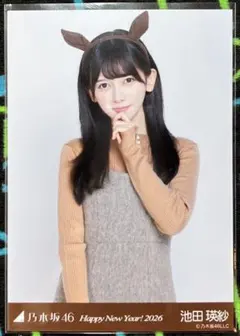 Item thumbnail for item 82d22454-b5d6-4707-be82-1a7ef46d796a