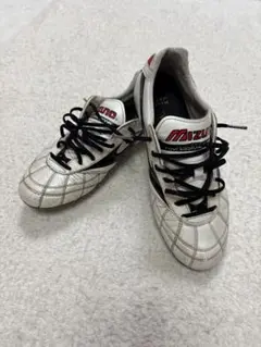 2025年最新】モレリア2 japanの人気アイテム - メルカリ