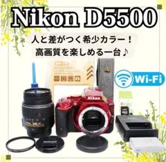 ショット数505回！極上美品】Nikon D5500 レンズキット 元箱付 - メルカリ