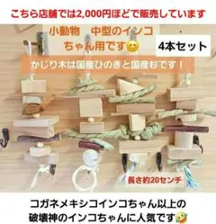 Item thumbnail for item b765eedb-110e-4bf1-bae5-1bd81d6ce28e