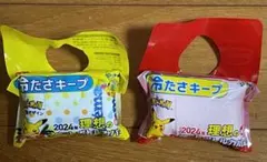 伊藤園 ポケモン 冷たさキープ 2024年理想のペットボトルカバー