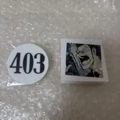 HUNTER × HUNTER レオリオ ナンバープレート 冨樫義博展 403