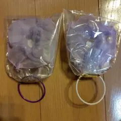 Item thumbnail for item 52c466ac-bbf1-4ee6-a6f0-36fdc9e809b1