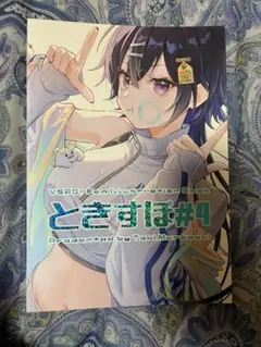 vggc イラスト本