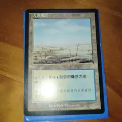 MTG 広漠なるスカイクラウド 日本語版 Foil【ODY】 - メルカリ