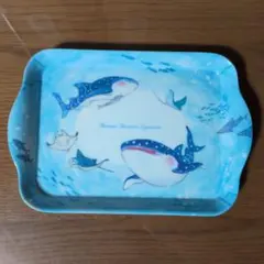 美ら海水族館　メラミン製トレー　ジンベイザメ