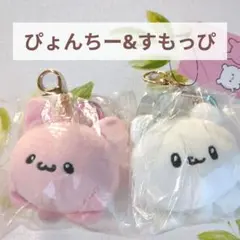 Item thumbnail for item 60908065-0bbd-4914-affa-84df64f0e82c