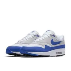 NIKE AIR MAX 1 ANNIVERSARY Royal 28.5cm