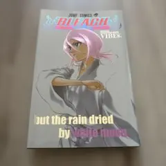 Bleach official animation book vibes 初版