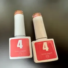 ネイル工房 マグネットネイル 4ミクロン 2本セット