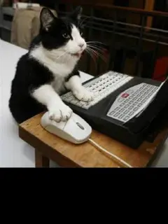 ★にゃお太郎★様専用 ACアダプター