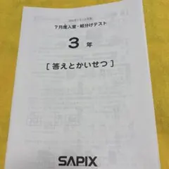 2026年最新】sapix 組分けテスト 3年生 7月の人気アイテム - メルカリ