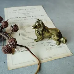 こうし様 リクエスト 3点 まとめ商品