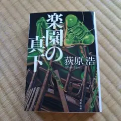 楽園の真下