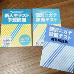 進研ゼミ高校講座　新入生テスト・個別ニガテ診断テストセット