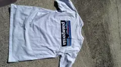 オ*カ様 patagonia ホワイト Tシャツ レギュラーサイズ　Mサイズ