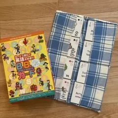 BBカード　収納ケース付　ビービーカード　セルム児童英語　英語