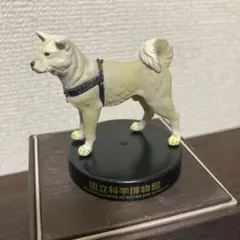 忠犬ハチ公 秋田犬 国立科学博物館 ぬいぐるみ - メルカリ