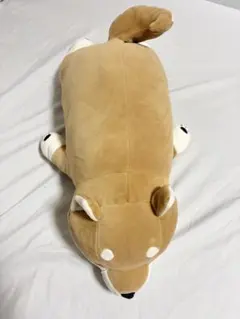 リブハートプレミアムねむねむアニマルズ　柴犬のコタロウ　抱き枕のサムネイル