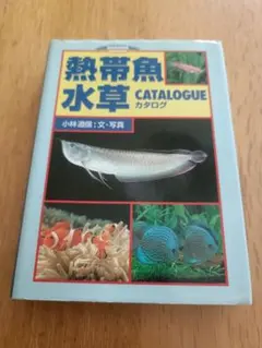 熱帯魚・水草カタログ