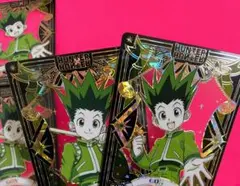 HUNTER × HUNTER ゴン 中国限定 アクリルカード 2種セット