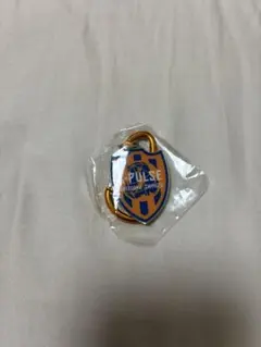 オーレーオーレーオレオレ　オレ！オレ！オレ！清水エスッパルスメタルチャーム