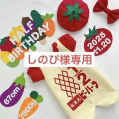 【4/30発送】　しのぴ様専用