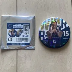 Item thumbnail for item 425e72df-3027-41eb-99ee-a9b8819bb036