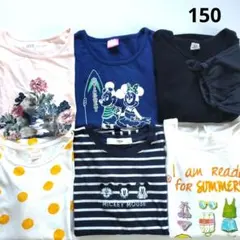 女の子 半袖 Tシャツ 150 ミッキー ドット 猫 6枚セット