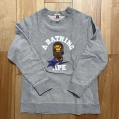 Item thumbnail for item 8838b473-df87-4210-a217-e4304c76234c