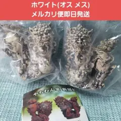 やちむん家 新垣優人 シーサー ホワイト(オス メス)メルカリ便即日発送
