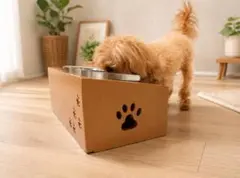ペット　フードボウル　食器台　傾斜付き １１ｃｍボウル２個付き　犬猫用のサムネイル