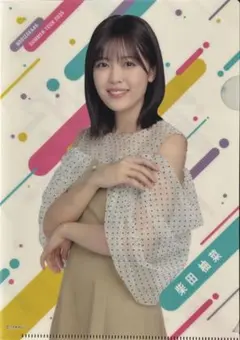 柴田柚菜生写真まとめ売りクリアファイル 乃木坂46 生写真 柴田柚菜