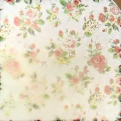 専用です。