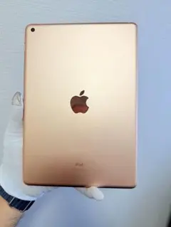 V*i様 Apple iPad 2019 Wi-Fi 32GB