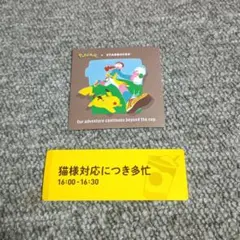 STARBUCKS ステッカー 2枚セット
