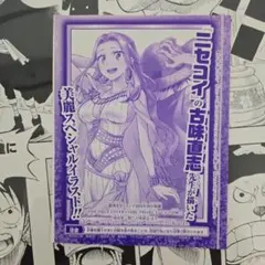 2026年最新】ワンピースカード ビビ プロモの人気アイテム - メルカリ