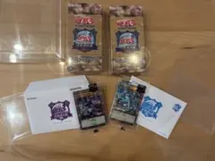 東京ドーム 決闘者伝説 ブルーアイズホワイトドラゴン ブラック