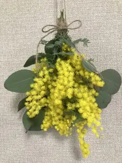 Item thumbnail for item 0caaaab7-caf0-40fc-8961-b1b26a0ef552